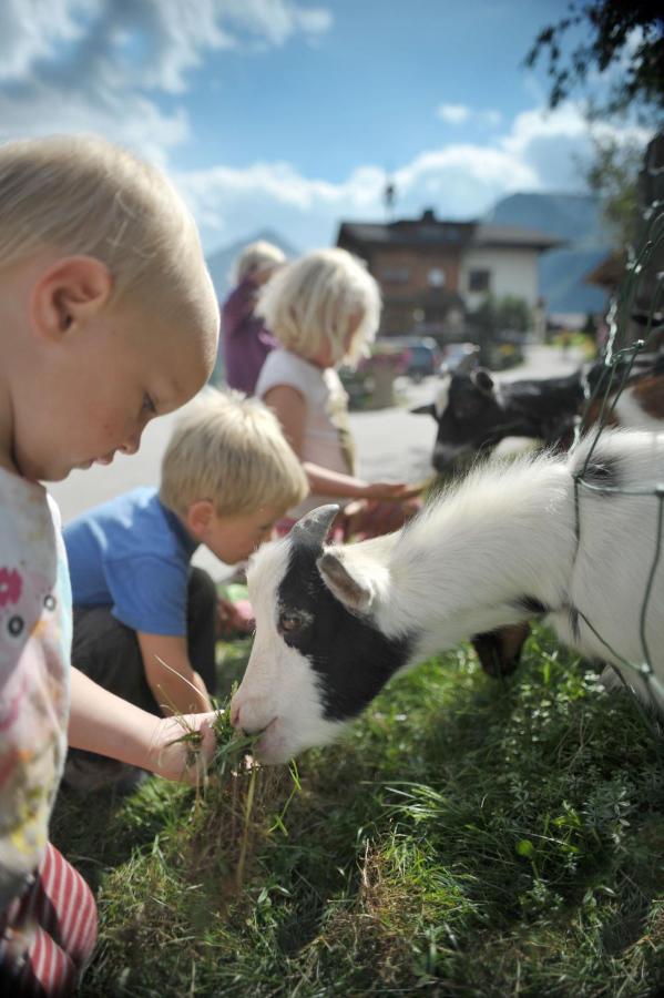 Hocheggerhof - Urlaub Am Bauernhof Agroturismo *
